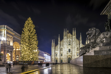 Naklejka premium Duomo i Galleria z najwyższą choinką w Mediolanie nocą