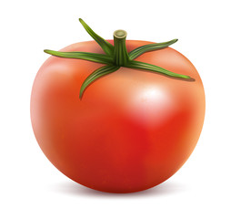 tomato isolated on white background