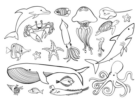 Sea animals line icons hand drawn set. Doodle ocean life collection for your marine design. Vector graphic illustration