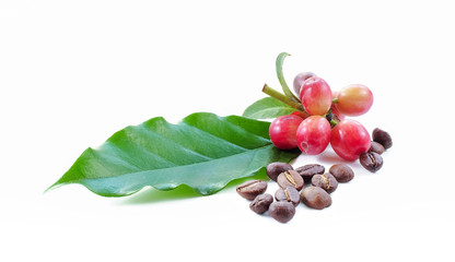 coffee beans close up on background.