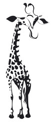 une girafe seule en noir et blanc