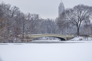 Obraz premium Bow bridge Central Park
