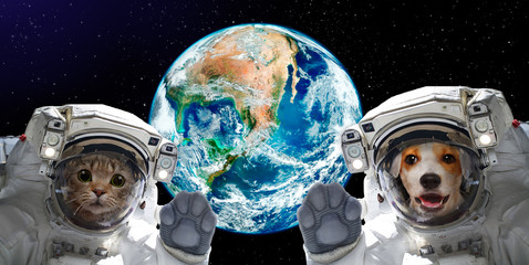 Portrait of a cat and dog astronauts on the background of the globe. Elements of this image furnished by NASA.