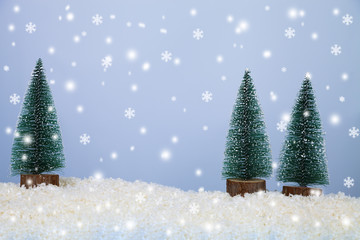 Three Christmas trees in the snow