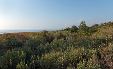 Obraz premium littoral de Costa verde en haute Corse