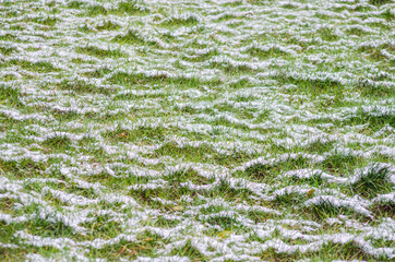 White snow on the green grass