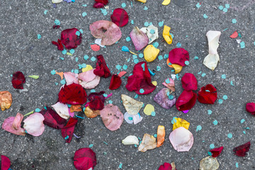 confetti and rose petals on pavement, Barcelona, Spain