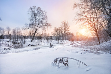 Склонившаяся веточка на берегу замерзшей реки в заснеженном лесу a bent branch of a plant  on the bank of a river in a snowy forest