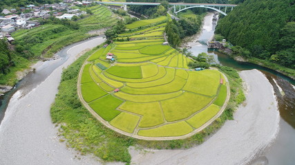 和歌山ドローン空撮あらぎ島