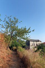 Fototapeta na wymiar San Nicolao village in Upper corsica