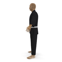 Karate fighter in black kimono isolated on white. 3D illustration