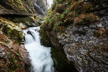 Soteska Vintgar, The Vintgar Gorge or Bled Gorge in Slovenia.