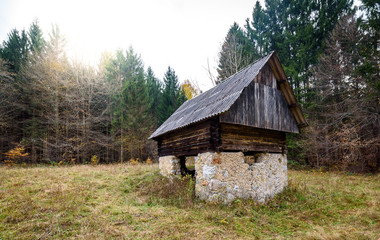 Abandoned old wooden house Cabin in the woods in Slovenia.