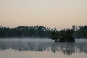 Fototapeta na wymiar Teich im Nebel