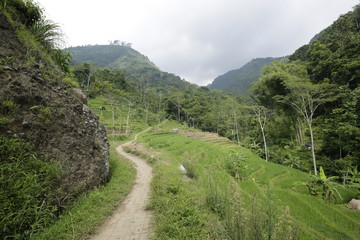 A Footstep to Heaven