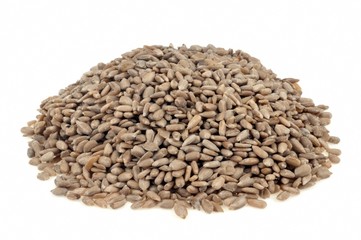 Graines de tournesol en vrac sur fond blanc