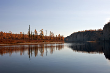 Fototapeta premium Larch taiga in September on the banks of the river