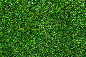Green grass background and textured, Top view and detail of turf floor at soccer field