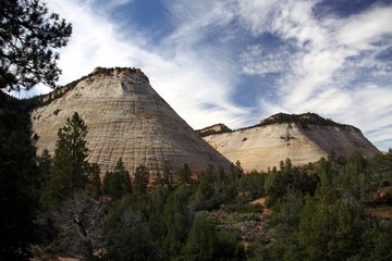 Beautiful Landscape of Zion NP - Utah - USA 