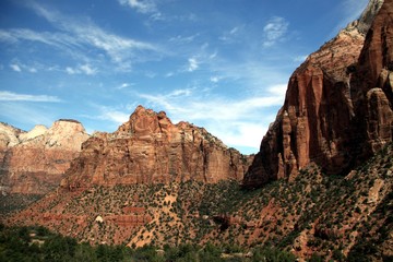 Fototapeta na wymiar Beautiful Landscape of Zion NP - Utah - USA 