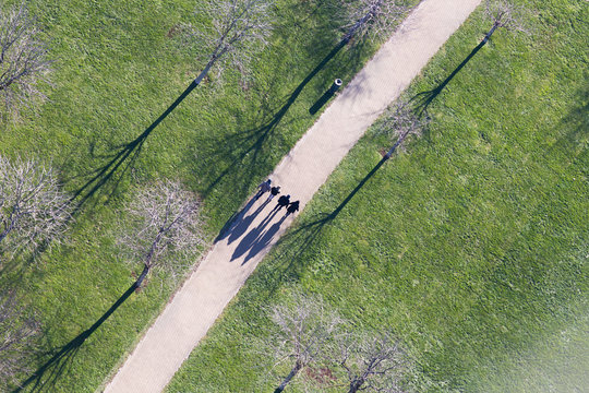 Top View Of People Walking In Park