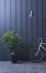 blue stone wall and vase of plant with bike concept