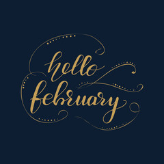 Lettering Hello, February. Vector illustration.