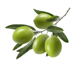 Fotobehang Green olive branch isolated on white background © kovaleva_ka
