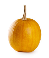 Ripe autumn pumpkin