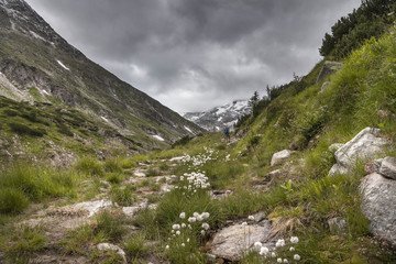 Landschaft in Kärnten