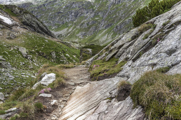 Landschaft in Kärnten