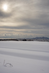 雪原から遠望する函館の街