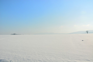 Winter landscape with snow
