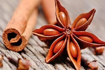 Anise star with cloves and cinnamon sticks on rustic table