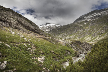 Fototapeta premium Landschaft in Kärnten