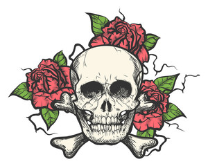 Skull with rose flowers