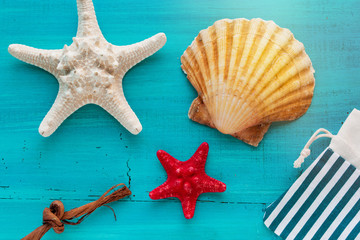 Summer board of sea shells scallop and star fish on blue wooden background