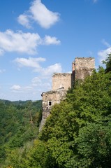 Fototapeta premium Ruins of castle Cornstejn in the Southern Moravia, Czech republic, Europe