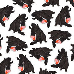 Animal wild boar pattern