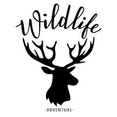 Vector illustration of "Wildlife" lettering.