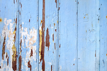 Old wood board painted blue