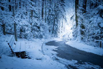 Spazierbank in verschneitem Wald, Winter
