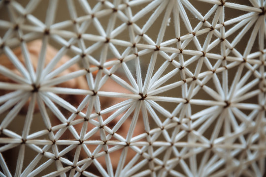 Detail of a fabric
