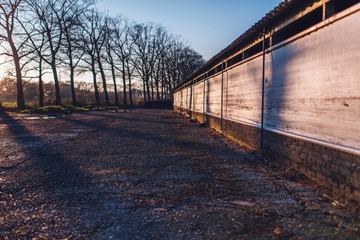 Fototapeta na wymiar Wall of cowshed in low autumn sunlight in countryside.