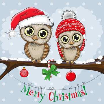 Greeting Christmas card Two Owls