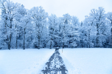 Spazierweg, Wiese und verschneiter Wald im Winter
