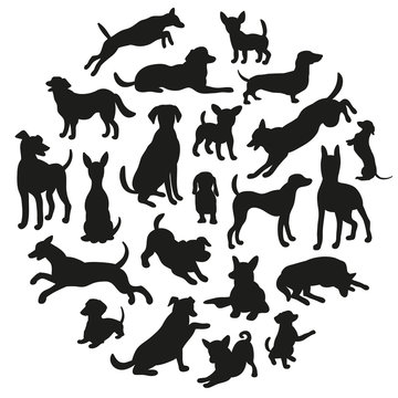 Set of dogs silhouette. Vector illustration for your cute design.