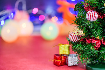 christmas tree isolated on bokeh light
