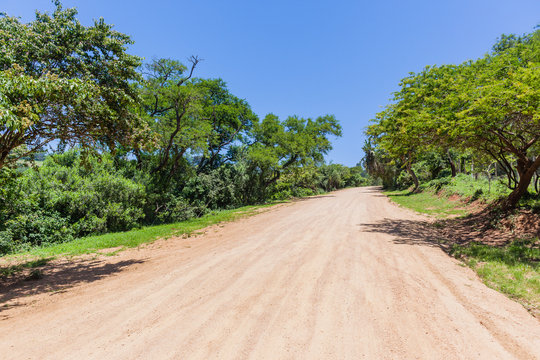 Rural Dirt Road Tropical