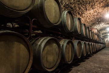 Wooden barrels of wine in the basement built of shellfish. Dark lighting